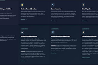 customize your netsuite erp