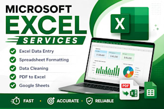 do accurate microsoft excel data entry, copy paste and spreadsheet tasks