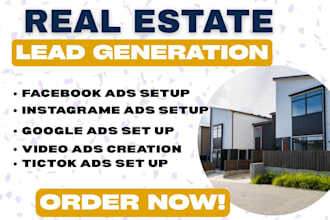 real estate leads, google ads, video ads, facebook ads, instagram ads