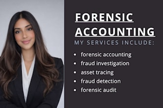 do forensic accounting, litigation support, financial fraud audit as US CPA