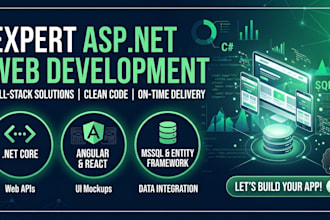 build custom asp dot net web app, angular react, sql server
