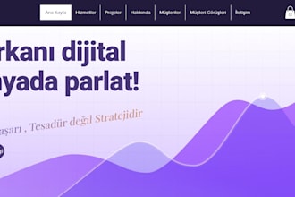 create a simple or professional website