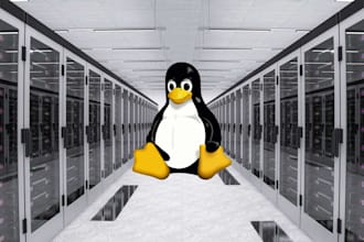 setup and configure and secure your linux server