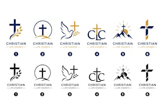 design a stunning logo in 24hours
