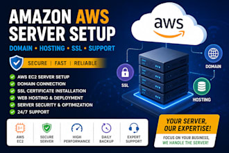 setup amazon AWS ec2 server, domain, SSL, hosting and provide full AWS support