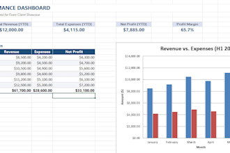 provide accurate bookkeeping and excel services
