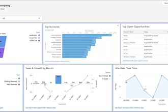 create professional salesforce reports and dashboards