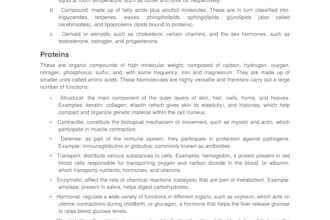 translate your medical technical manuals or documents