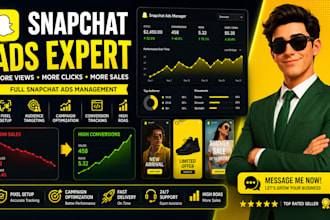 run snapchat ads campaign, snapchat video ads and snapchat ads manager setup