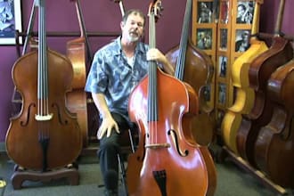 record contrabass,violin, viola, cello, erhu, guitar,banjo,mandolin,lute, harp