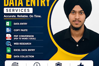 provide fast and accurate data entry services