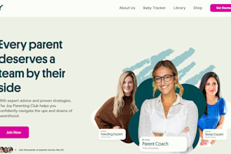 design or redesign wordpress website, clone elementor site, elementor redesign