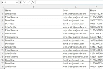 do accurate data entry in excel or google sheets