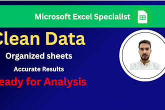 do microsoft excel data cleaning, formatting, formulas,
