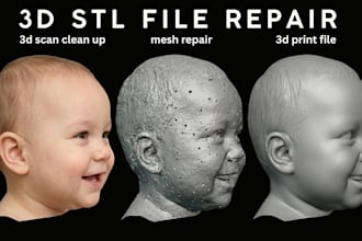 repair, fix, cleanup and optimize your 3d scan stl, obj file for 3d printing