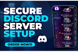 build and optimize professional discord server