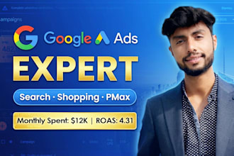 setup and optimize google shopping, pmax campaigns for high roas