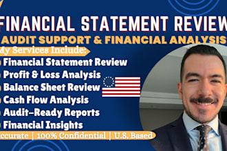 review financial statements, perform financial audit, audit report and analysis