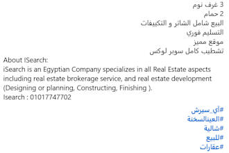 assist social media , short video marketing and copywriting