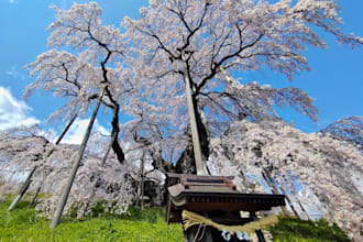 design a custom japan travel experience beyond sightseeing