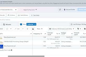 manage your facebook and instagram ads for higher roas