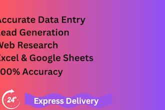 do accurate data entry, excle and google sheets