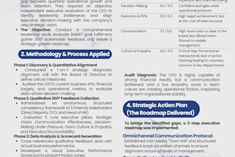 audit CEO leadership performance and deliver a strategic growth report