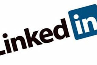 instantly ADD 1130 Linkedin business connections To Your Linkedin account guaranteed