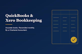 provide bookkeeping and financial reporting support for US businesses