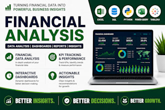 do financial analysis, create KPI dashboards and reporting