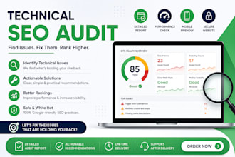 do a technical SEO audit and fix website issues