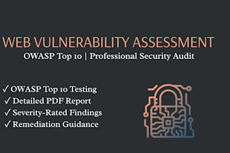 perform web application vulnerability assessment using owasp top 10