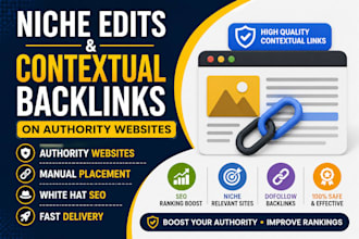 provide niche edits and authority link insertions
