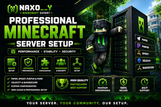 professionally setup your minecraft server paper, spigot and more