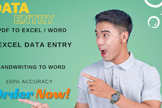 do fast data entry PDF to excel word and handwriting to word