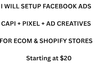 setup and optimize high roas facebook and meta ads for ecom
