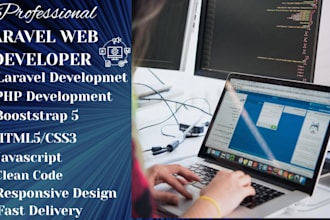 develop a professional laravel website
