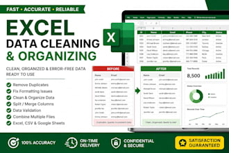 do ms excel, data cleaning, formatting, deduping, splitting and sorting