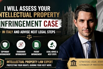 assess your intellectual property infringement case and advise next legal steps