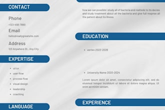 make a professional cv design