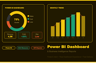 do create professional power bi dashboards and reports