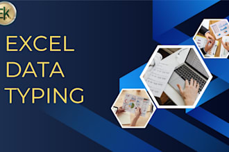 do professionally excel data typing
