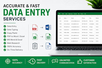 do accurate data entry, data typing, copy paste and ms word