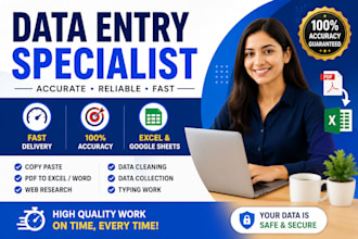 do accurate excel data entry, data cleaning, and formatting