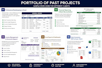 do professional bookkeeping accounting and excel reporting
