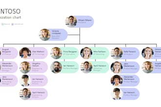 design a pro organizational structure or organization chart