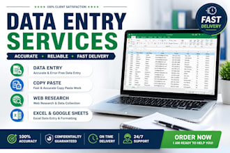 data entry, excel data entry, copy paste