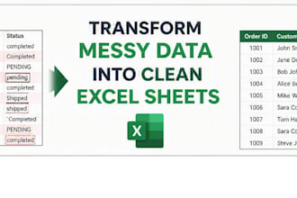 clean, organize and format your excel spreadsheet