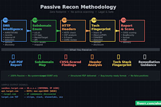 finde bugs passive security recon