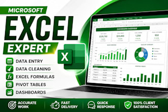microsoft excel data entry, data cleaning, formatting and excel tasks